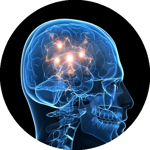 cerveau